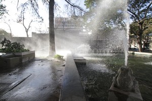 Guillermo Di Salvatore