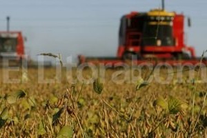 Archivo El Litoral Más de 50 millones de toneladas se esperan cosechar en el país en la presente campaña. Los dólares del complejo oleaginoso son decisivos para paliar el déficit energético.