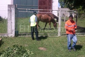 ELLITORAL_63172 | Policía de Seguridad Vial La policía finalizado el procedimiento.