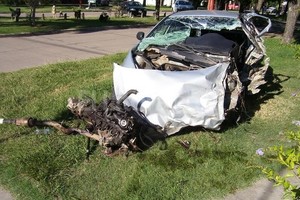 ELLITORAL_86318 |  Carlos Yesciani