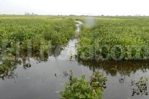 Archivo El Litoral. Los departamentos de Castellanos, Las Colonias, Vera, San Justo, San Martín, San Jerónimo, San Cristóbal y General López, fueron incorporados al proyecto que declara por 30 días zona de emergencia climática .