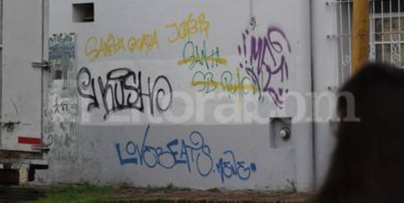 Skatepark: vecinos molestos por los grafitis y los ruidos 