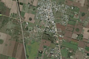 ELLITORAL_124219 |  Maps Google