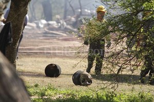 Guillermo Di Salvatore