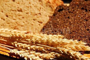 ELLITORAL_116269 | Archivo El Litoral