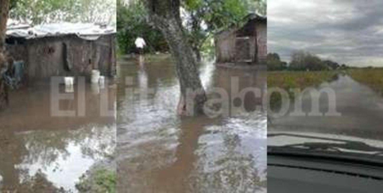 Son cuantiosas las pérdidas provocadas por los excesos hídricos en Avellaneda