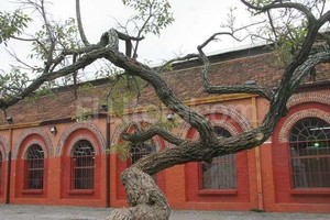 ELLITORAL_118507 |  Alejandro Villar Foto de archivo.