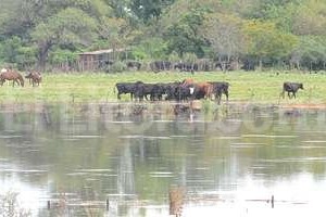 ELLITORAL_117240 | Flavio Raina