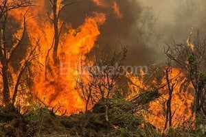 ELLITORAL_116273 |  Telam