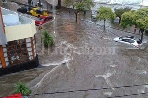 ELLITORAL_115537 |  DyN