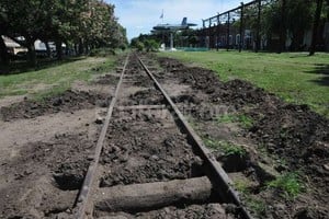 ELLITORAL_114741 |  Flavio Raina