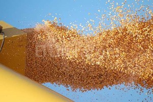 ELLITORAL_118405 | Campolitoral