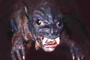 Archivo Foto extraida de Internet.