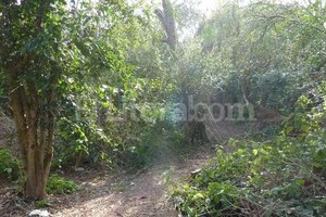 ELLITORAL_120013 |  Danilo Chiapello Foto de archivo.