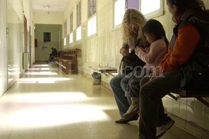 ELLITORAL_122162 |  DyN La directora del hospital, Liliana Fazio, pidió que seguridad, educación y salud, esten exentos.