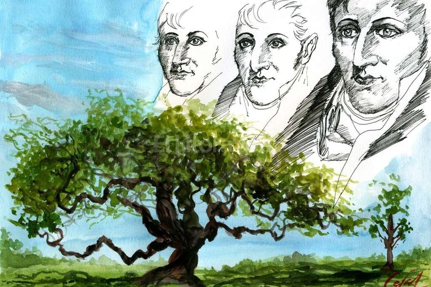 ELLITORAL_139510 |  Lucas Cejas Ilustración