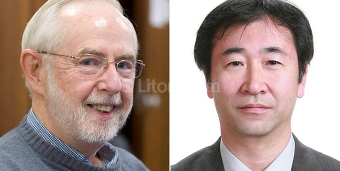 Nobel en física a un japonés y un canadiense por resolver el enigma de los neutrinos