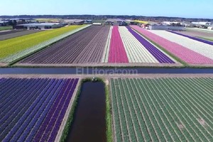 ELLITORAL_124699 |  Captura de pantalla