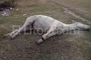 Periodismo Ciudadano Foto enviada a nuestro Whatsapp 3426305344.