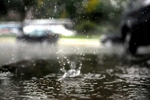 ELLITORAL_145467 |  Flavio Raina