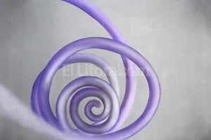 Gentileza Producción Carla Rotania, Negro Cósmico III , óleo, díptico.