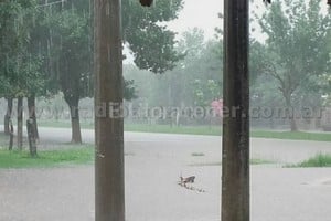 Gentileza Radio Amanecer