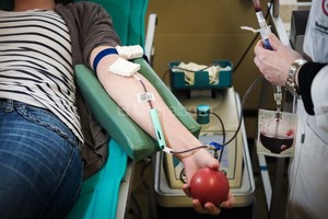 ELLITORAL_156873 |  El Litoral