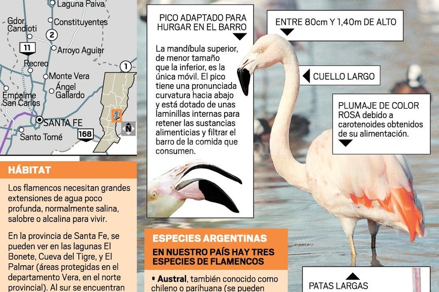 ELLITORAL_158977 | Infografía El Litoral