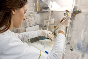 Archivo El Litoral El flamante instituto está conformado por distintos grupos de investigación ya existentes y con amplio prestigio nacional e internacional (foto ilustrativa)