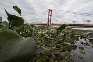 Mauricio Garín Tendencia. En el Puerto de Barranqueras (Chaco), el río superó el nivel de alerta. En Santa Fe creció a 4,10 metros y se proyecta que llegaría a 4,60 metros el 10 de diciembre, según el INA (el nivel de alerta es 5,30 metros).