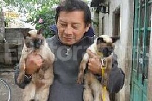 Archivo Rafael amaba a sus mascotas. Luqui y Lisa, sus gatitos siameses, todavía lo extrañan. Él los amaba.