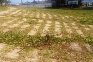 ELLITORAL_130173 |  Periodismo ciudadano.