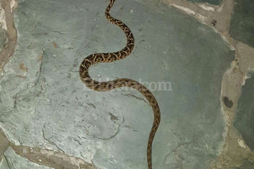 ELLITORAL_141366 |  Periodismo Ciudadano / WhatsApp