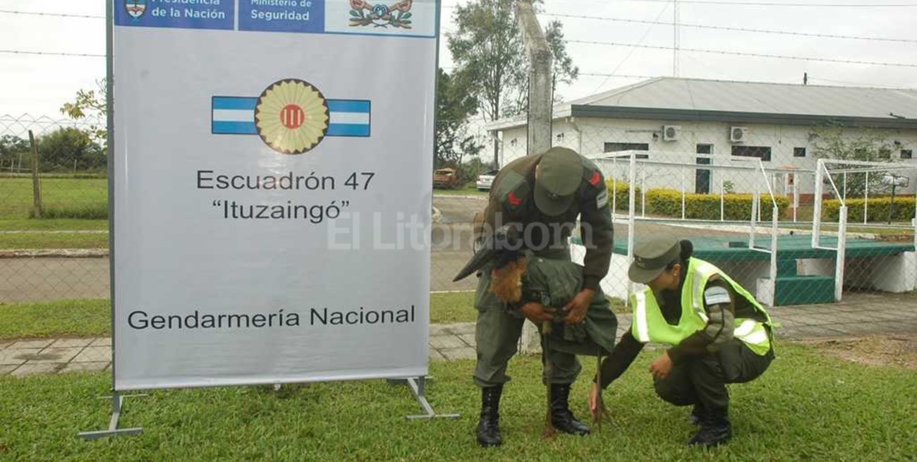 Cigüeña herida fue rescatada por Gendarmería Nacional 