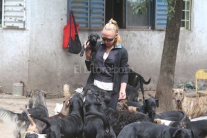 ELLITORAL_128456 |  Guillermo Di Salvatore Compromiso. Desde que murió Gladis Pellatelli, voluntarios y la asociación Dignidad Animal se hicieron cargo del refugio.