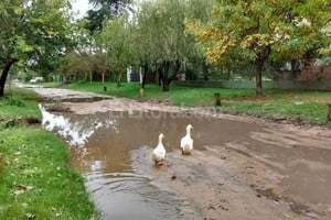 ELLITORAL_149925 |  Periodismo Ciudadano / WhatsApp