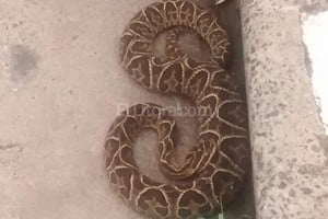 ELLITORAL_142483 |  Periodismo Ciudadano / WhatsApp