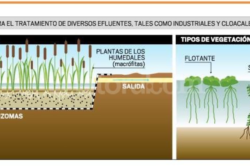 ELLITORAL_152930 | Infografía El Litoral