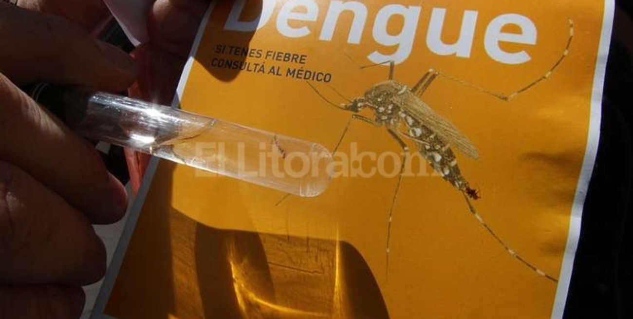 El Ministerio de Salud monitorea la situación del dengue en la provincia