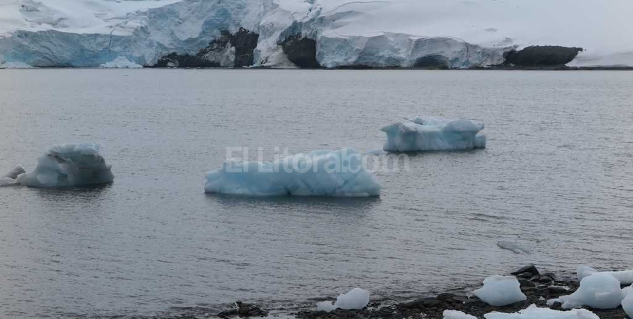 Alerta por los efectos del cambio climático en la Antártida 
