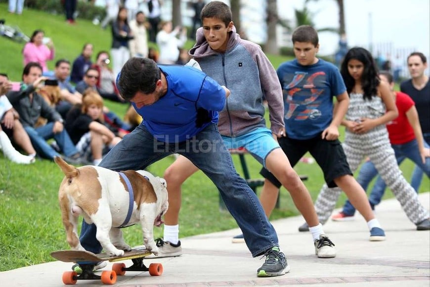 ELLITORAL_139101 |  Facebook Otto Bulldog Skater