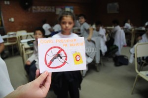 Flavio Raina Afiches. Son los que abundan en las paredes y pizarras de las escuelas, como se ve aquí, en la Sarmiento. Los de 1°, los de 2° y hasta los de 7°; todos los chicos aprenden sobre la prevención del dengue. Ingresá y mirá la Fotogalería.