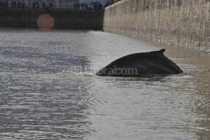 ELLITORAL_130176 |  Telam