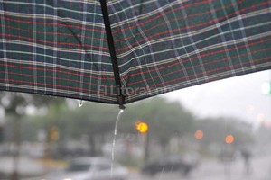 ELLITORAL_169324 |  Flavio Raina