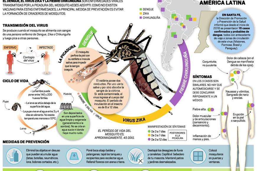 ELLITORAL_143889 |  Infografía El Litoral