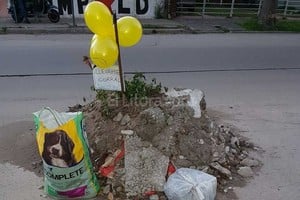 ELLITORAL_150592 |  Periodismo Ciudadano / WhatsApp