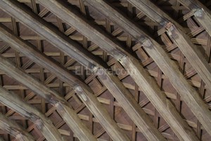 ELLITORAL_153816 |  Archivo / Mauricio Garin