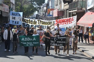 Luis Cetraro Como en otras ocasiones, la marcha convocó a un nutrido grupo de proteccionistas.
