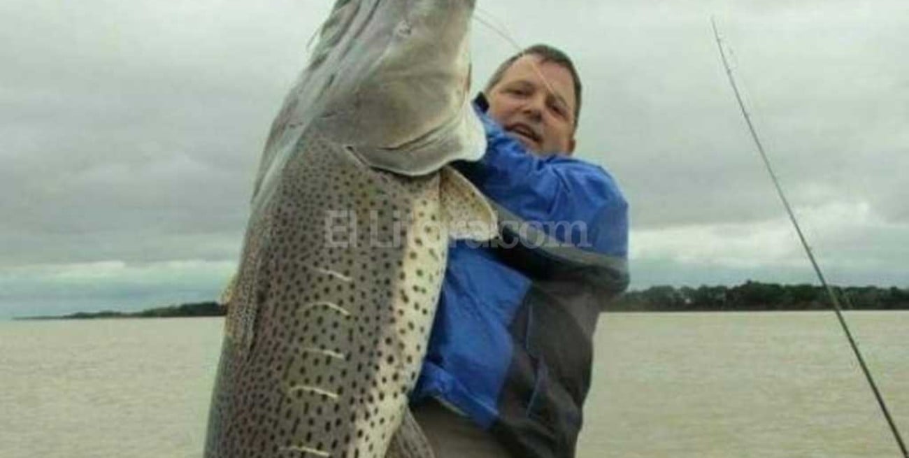 Pescaron un surubí de 80 kilos en el Paraná