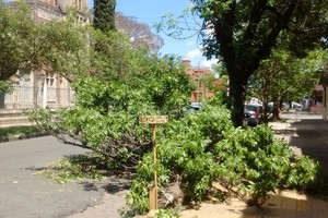 Periodismo Ciudadano / WhatsApp